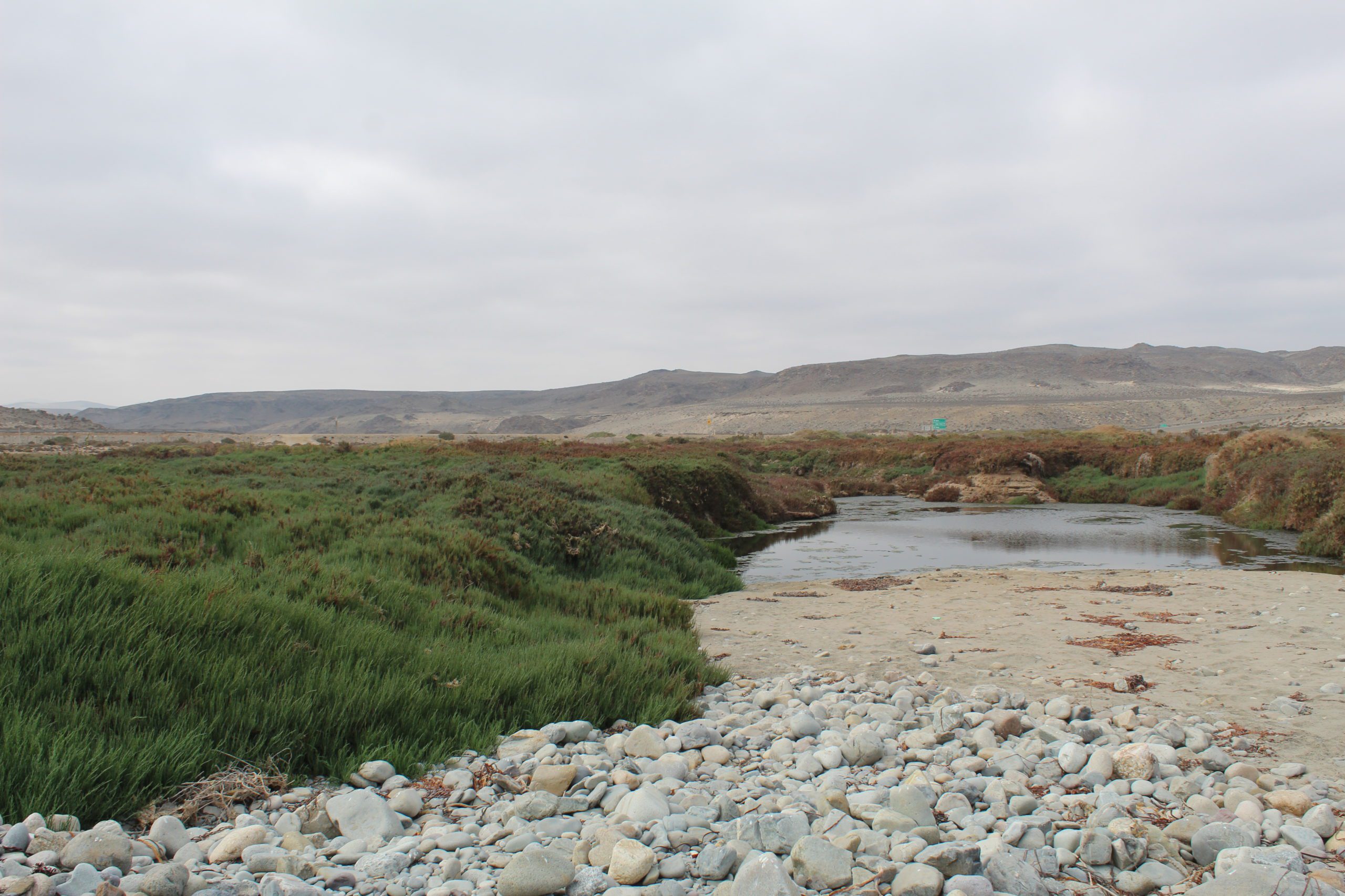 Chile postula red de humedales costeros para su reconocimiento internacional Ramsar