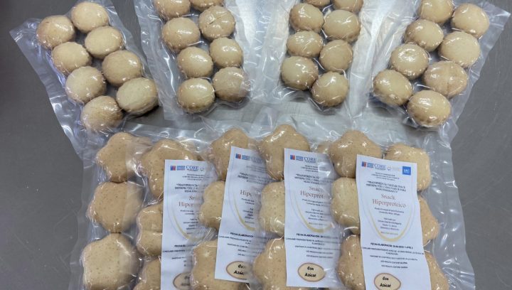 Nutricionista chilena desarrolla innovador snack hiperproteico para pacientes en hemodiálisis