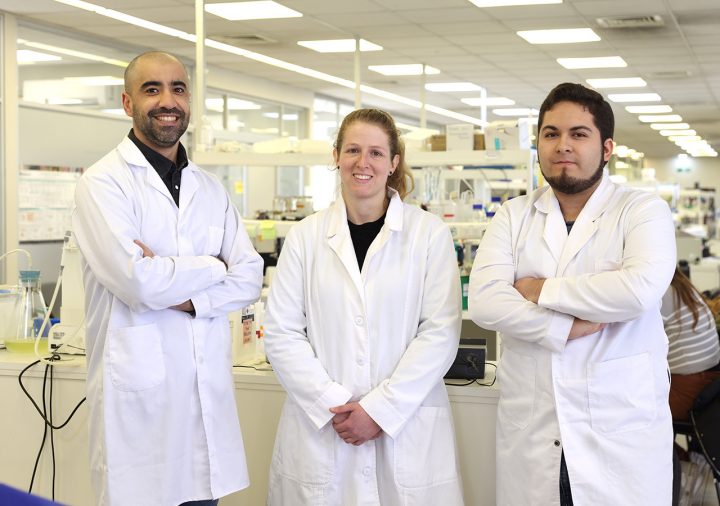 Investigadores trabajan en nanotecnología que elimina pelos de mascotas y sus alérgenos
