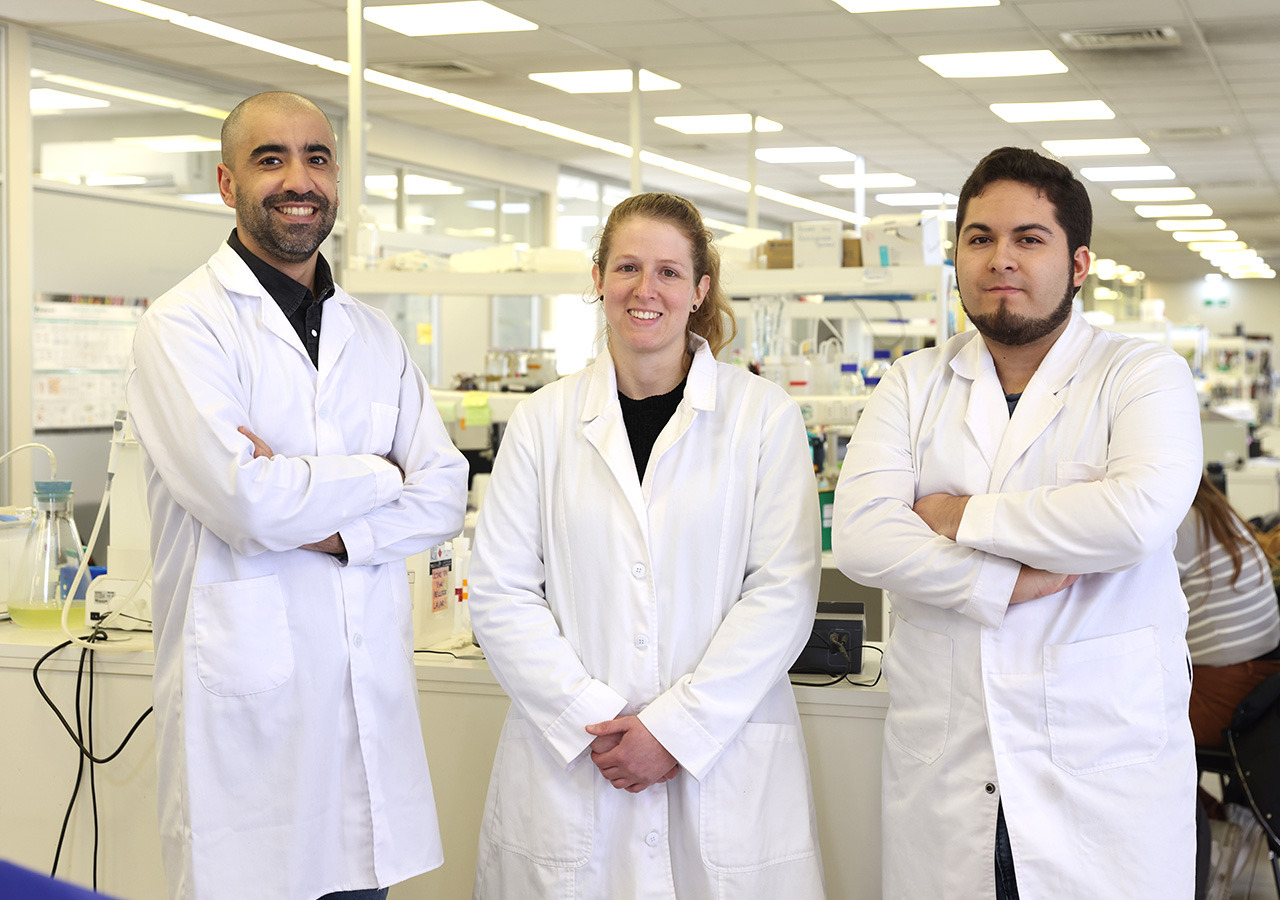 Investigadores trabajan en nanotecnología que elimina pelos de mascotas y sus alérgenos