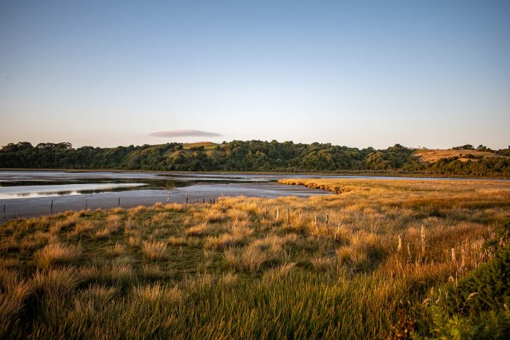 Chile es electo miembro del Comité Permanente de la Convención Ramsar para la protección de humedales