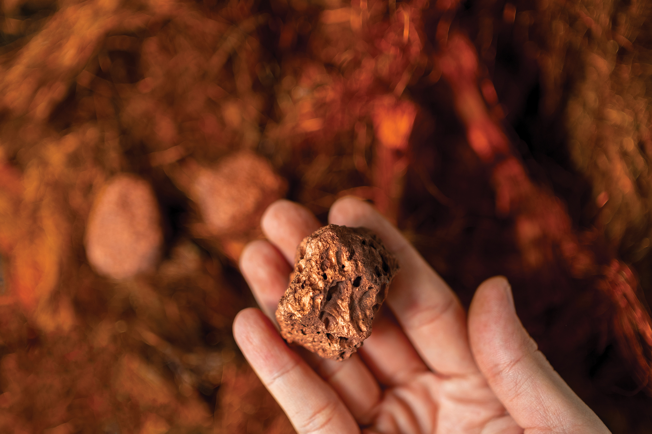 Estudio advierte sobre escasez de minerales críticos para la transición energética