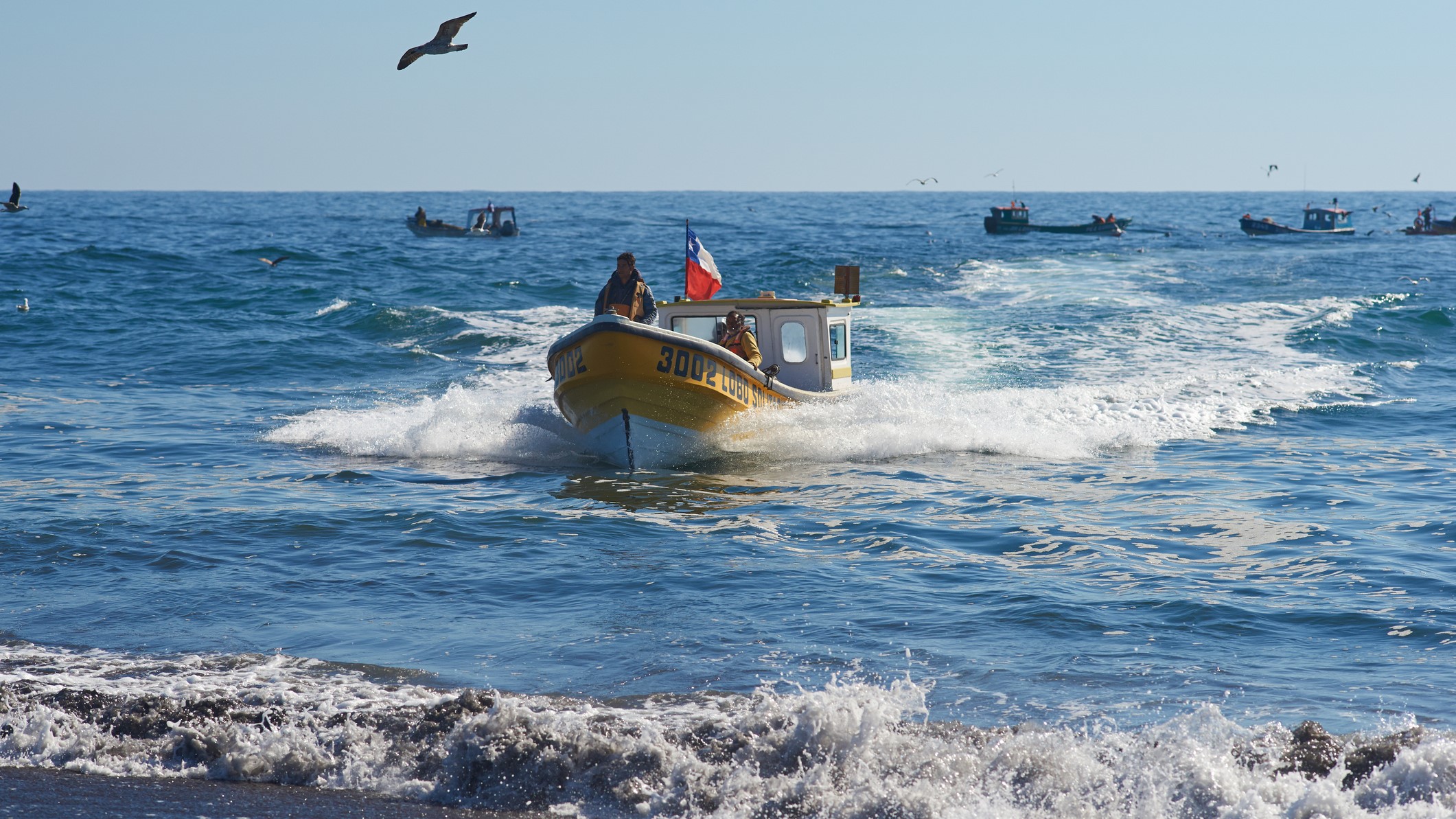 Gobierno alcanza un 32% de cumplimiento en agenda de pesca a meses de finalizar el mandato