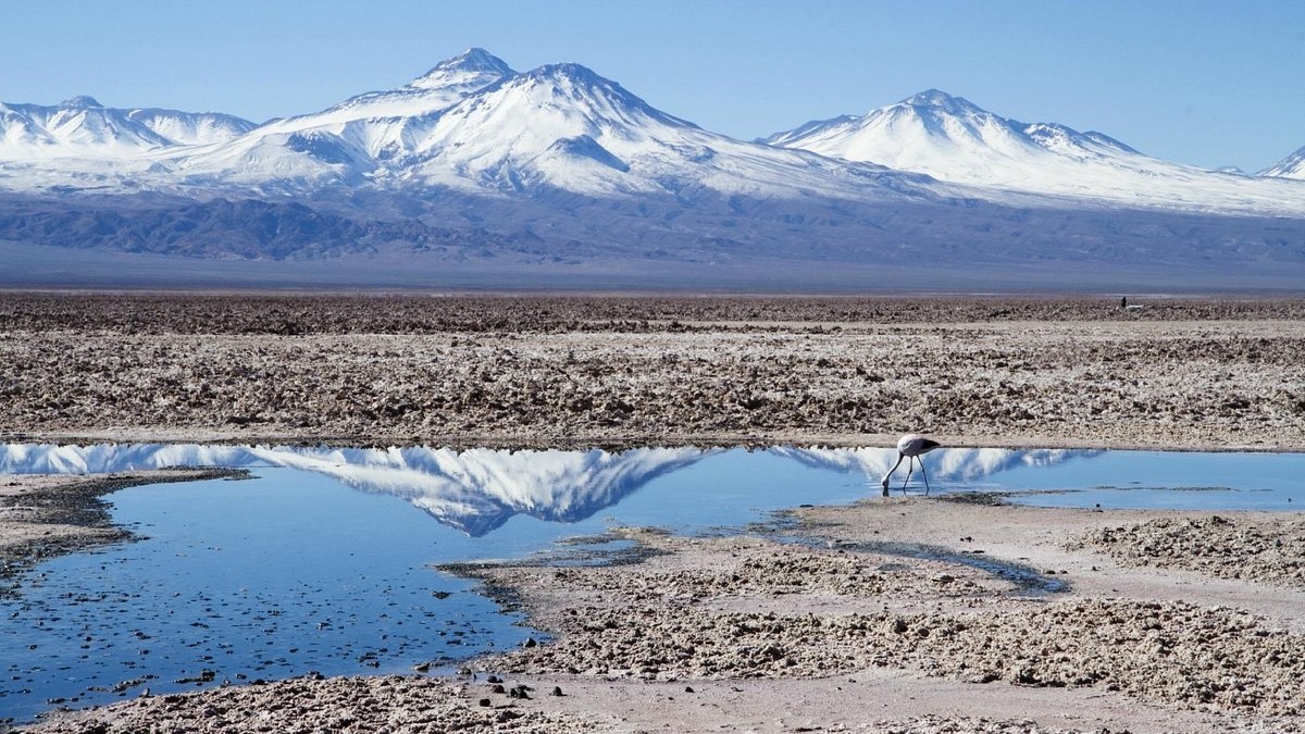 TERO: La promesa chilena para impulsar el cuidado ambiental