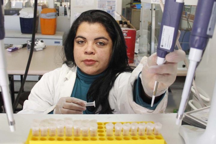 Científica lidera estudio que revela la conectividad genética del jurel en costas de Chile y Perú