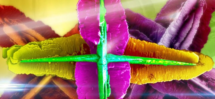 Exposición gratuita revela el universo invisible de la nanotecnología en Santiago