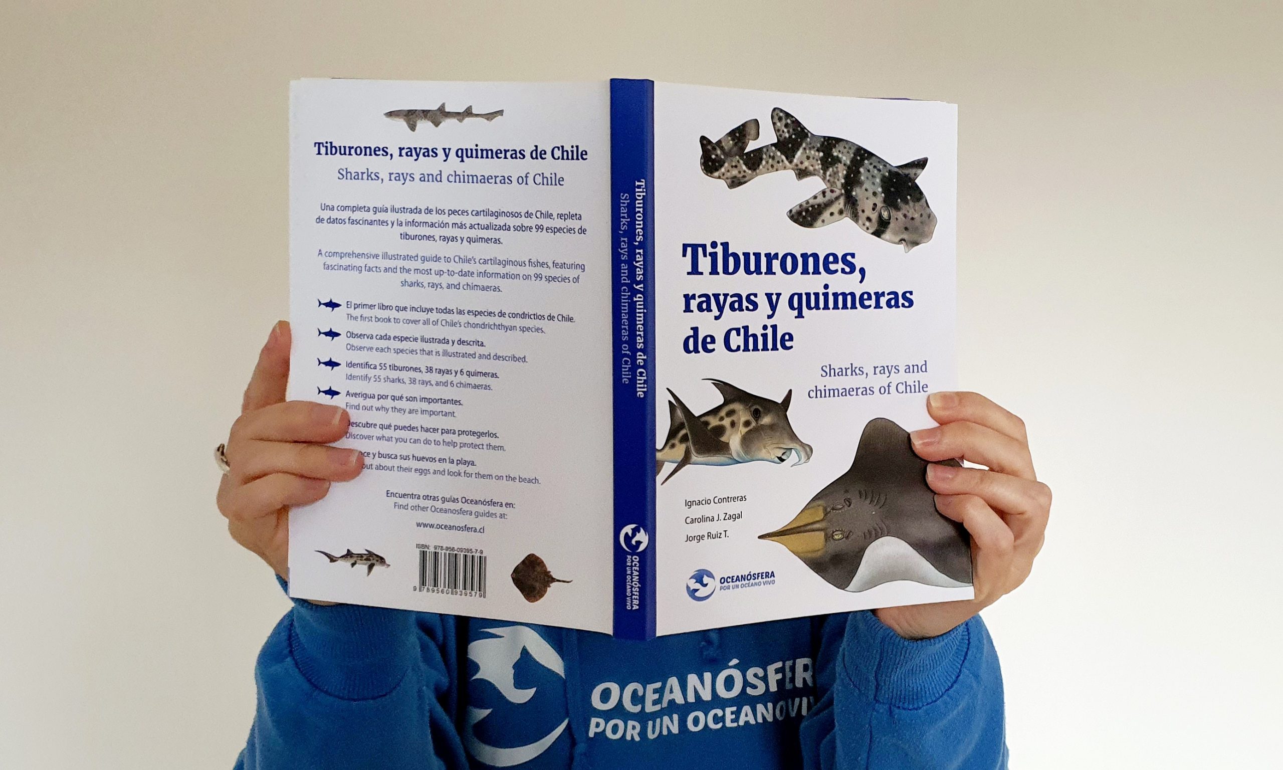 Lanzan el primer libro que reúne todas las especies de tiburones, rayas y quimeras de Chile