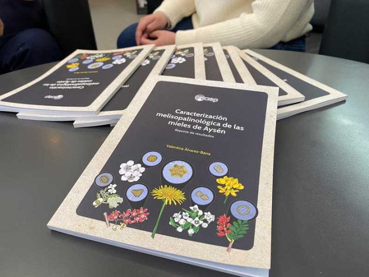 Ciencia en la Patagonia: Inédito estudio revela el ADN floral de las mieles de Aysén