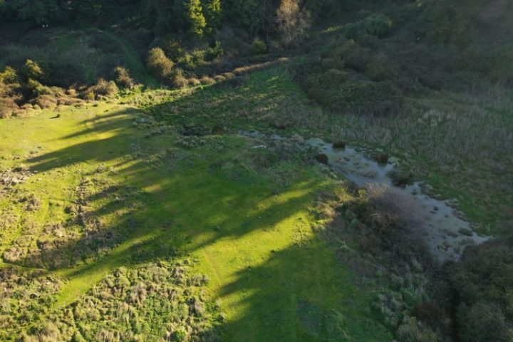 ¡Es oficial!: Talcahuano suma humedal Denavi Sur como segundo Humedal Urbano