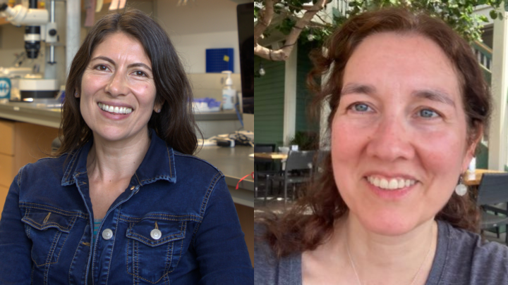 Investigadoras de la Universidad de Valparaíso: Andrea Calixto y Yoanna Eissler.