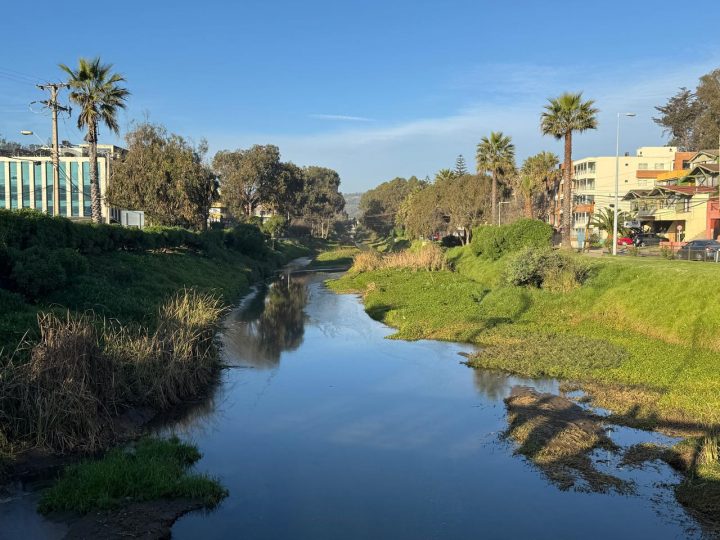 Estero Reñaca se convierte en el segundo humedal urbano de Viña del Mar