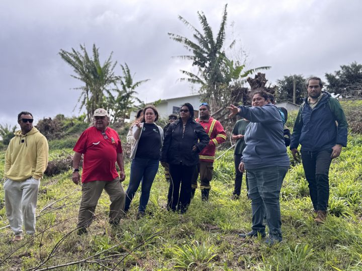 Lanzan plan comunitario para prevenir los incendios forestales en Rapa Nui