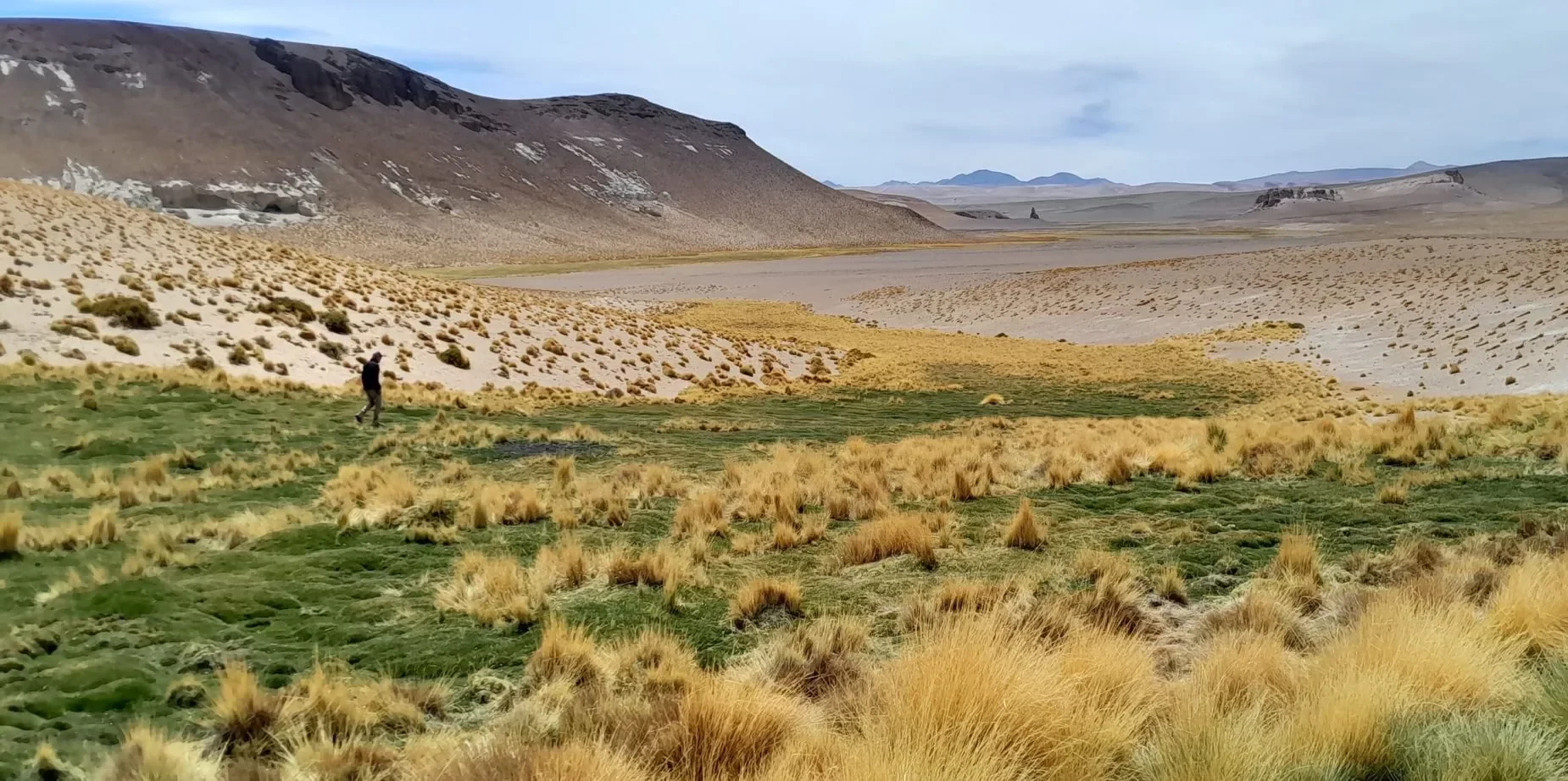 Buscan descifrar cómo los humanos sobrevivieron a 4.000 metros de altura hace 12.500 años en Atacama