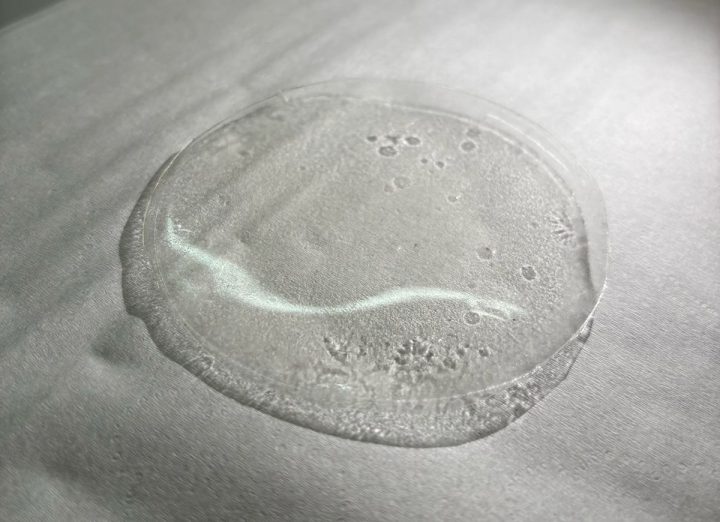 Derma-Patch. Créditos: Equipo Derma-Patch