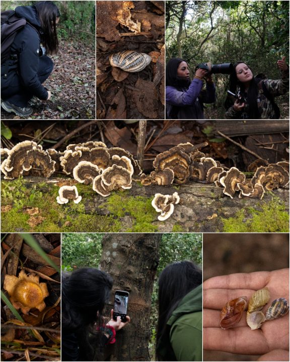 Créditos: Bichas del Biobío.
