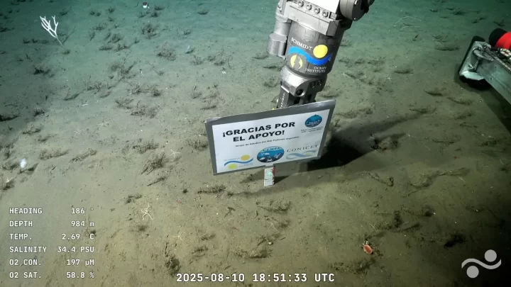 Así finalizó la expedición científica argentina que transmitió en vivo desde el fondo del mar