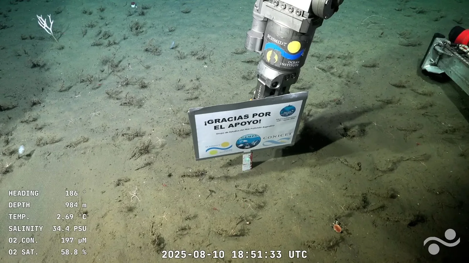 Así finalizó la expedición científica argentina que transmitió en vivo desde el fondo del mar