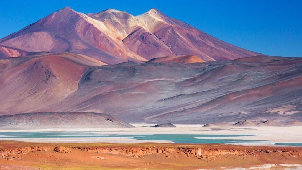 Científicas chilenas usan bacterias del desierto de Atacama para revivir suelos agrícolas