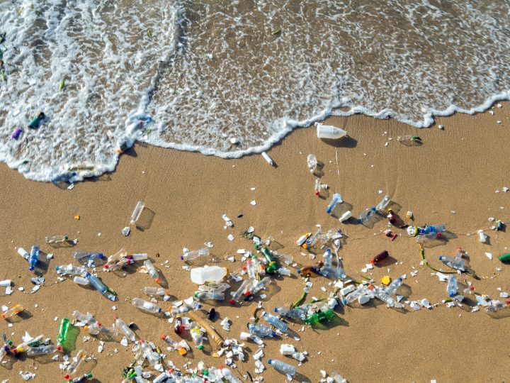 Tratado Global sobre Plásticos: ONU busca un acuerdo para frenar la contaminación