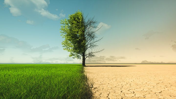 Acuerdo de Escazú en Chile registra un 15% de avance en protección ambiental