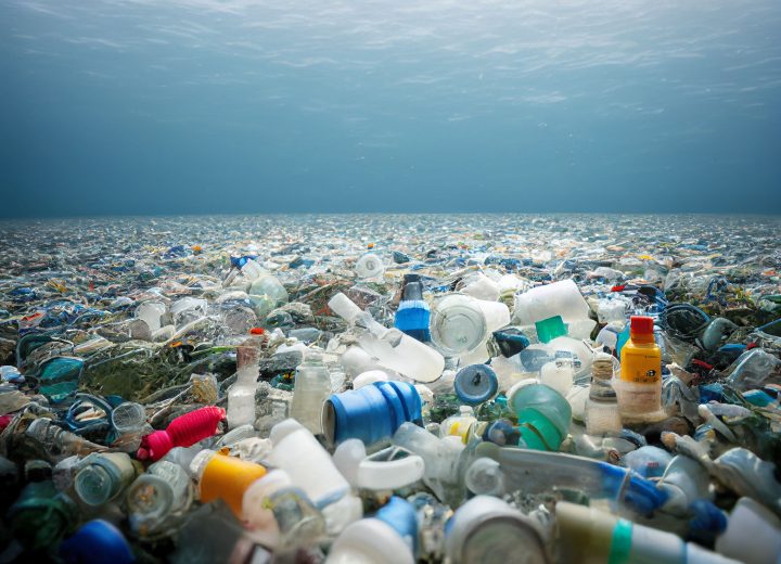 Especialistas llaman a reconocer la gravedad de la contaminación por plásticos para la salud