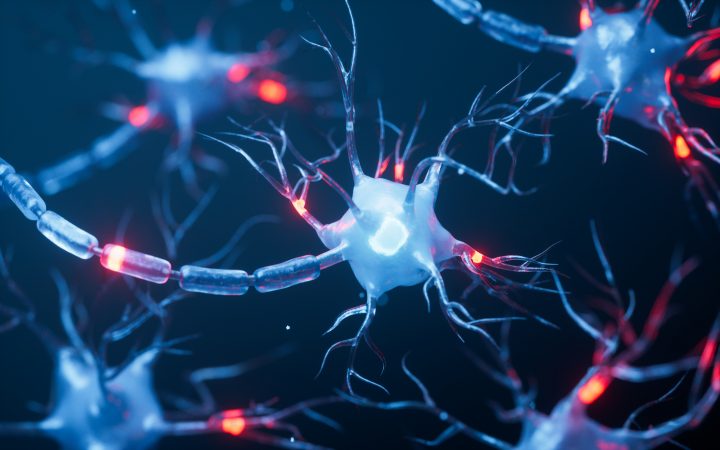 ¿Qué es la “diabetes del cerebro”? Científico explica su vínculo con la esquizofrenia y salud mental