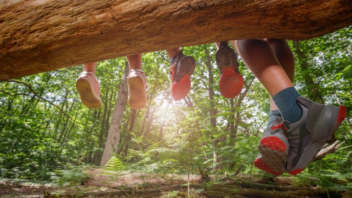 Concurso fotográfico busca retratar el poder sanador de la naturaleza en Chile