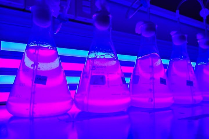 Investigador desarrolla sistema basado en microalgas para descontaminar lagos urbanos de Chile