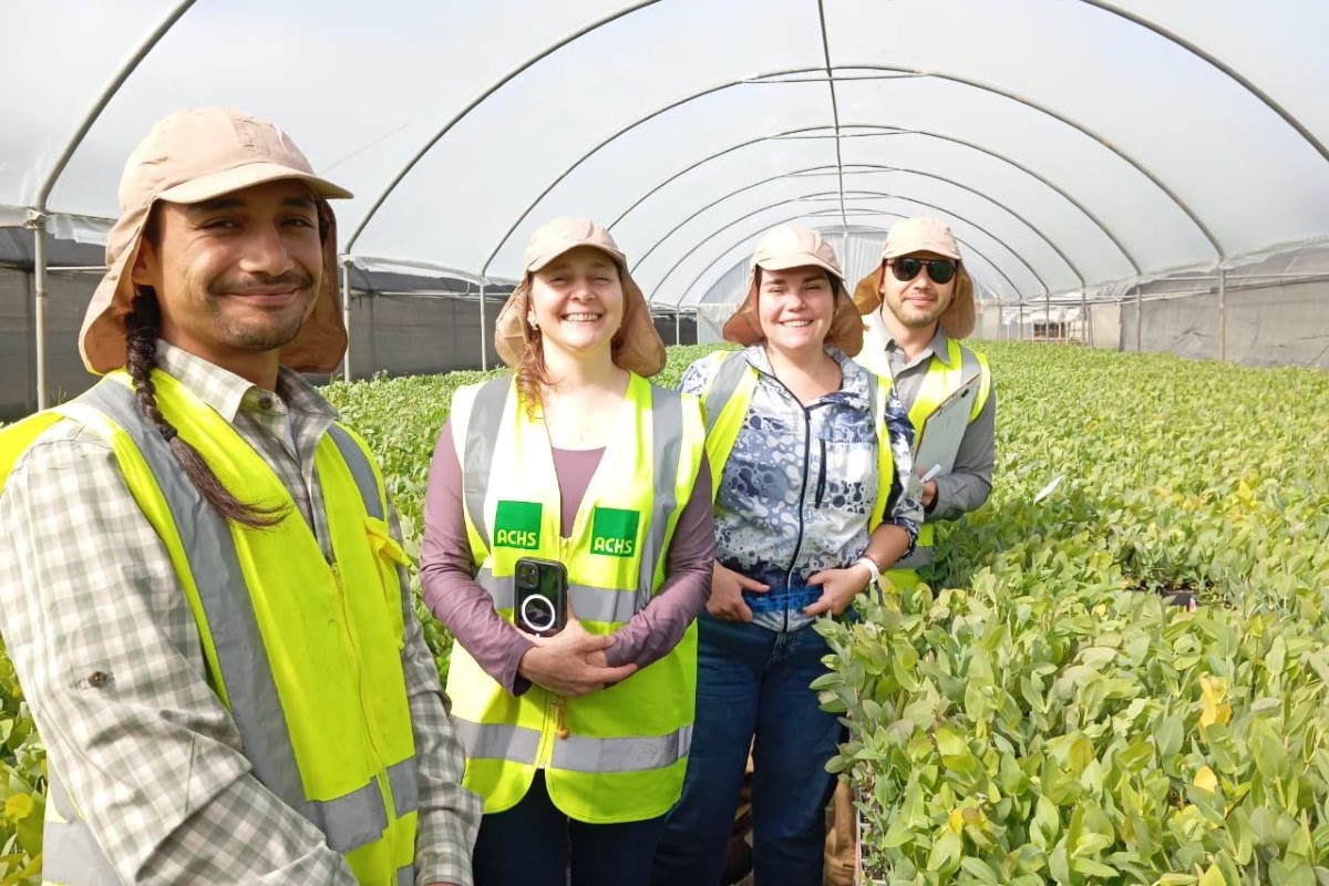 Smart Dowanu: El proyecto que busca un uso eficiente del agua en la industria agrícola y forestal