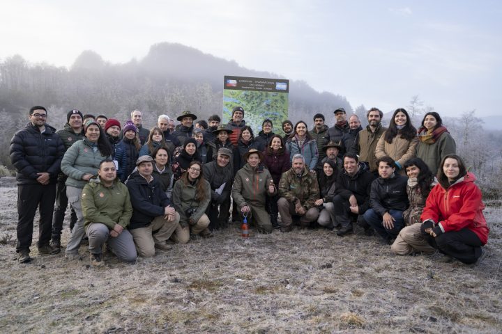 Comienza la construcción del primer Centro de Rescate de Fauna Silvestre en Reserva Huilo Huilo