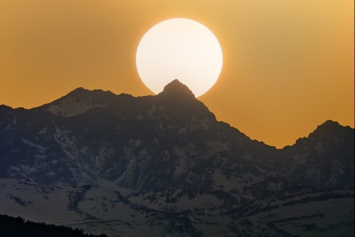 Fotógrafo chileno gana Wikiciencia 2025 con impactante 