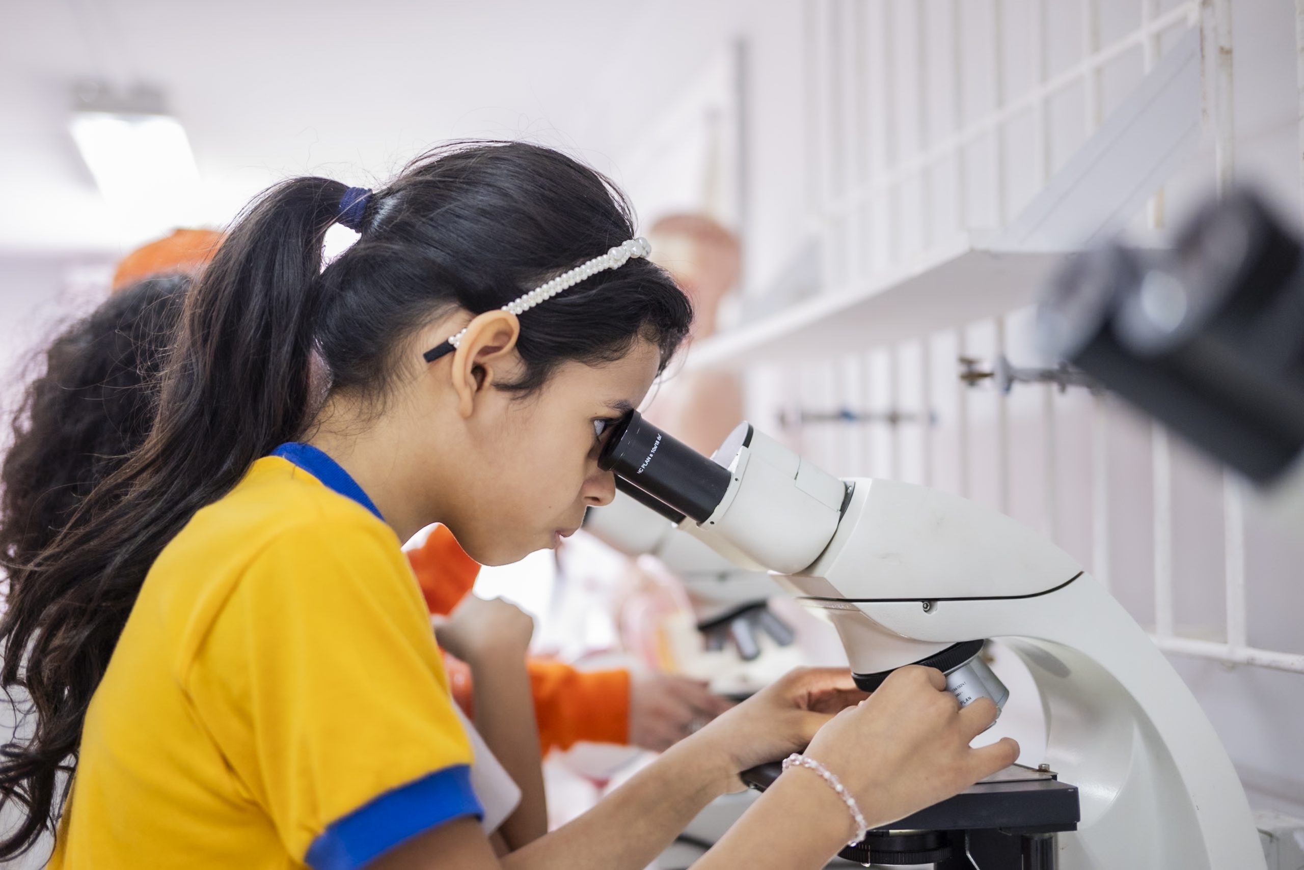 Festival de las Ciencias 2025 se realizará en todo el país con actividades gratuitas