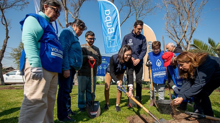 Maipú inicia plan de arborización para enfrentar el cambio climático