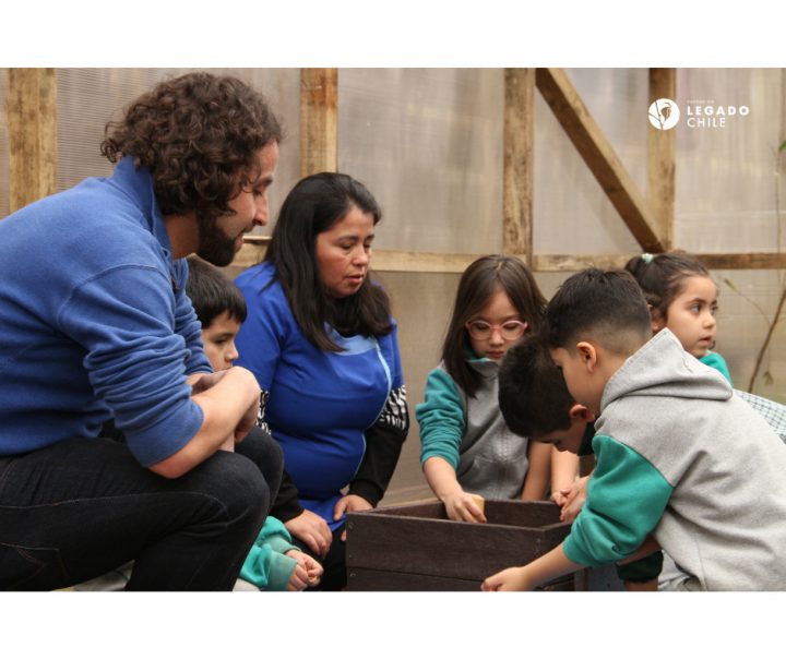 Viveros escolares enseñan a niños a cultivar el respeto por la naturaleza