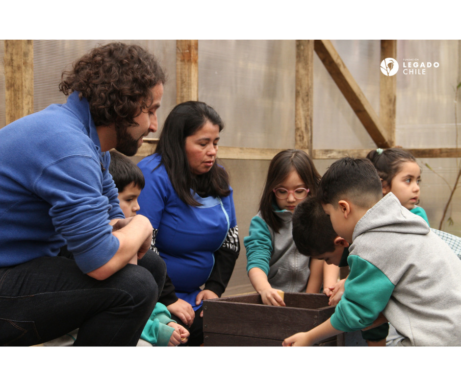 Viveros escolares enseñan a niños a cultivar el respeto por la naturaleza