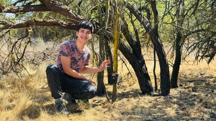 Estudiante investigó cómo los perros asilvestrados amenazan la fauna de Lago Peñuelas