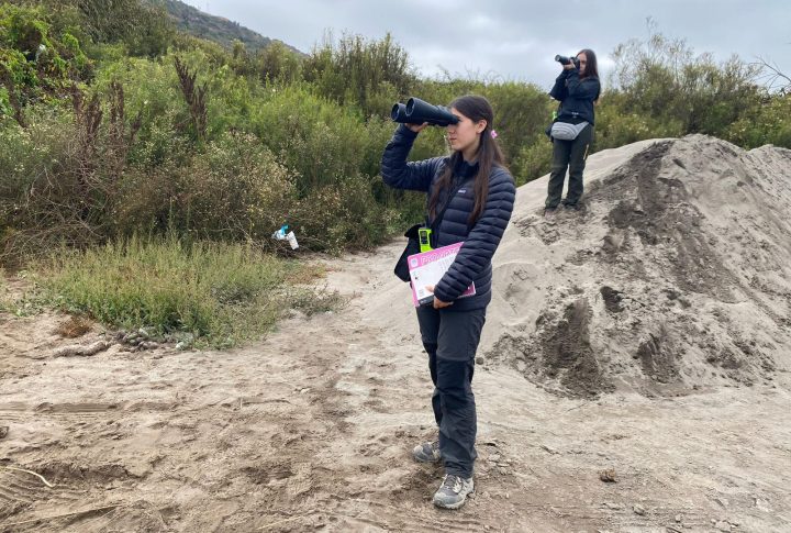 Estudiantes mapean el riesgo de Influenza Aviar H5N1 en Humedal del Maipo