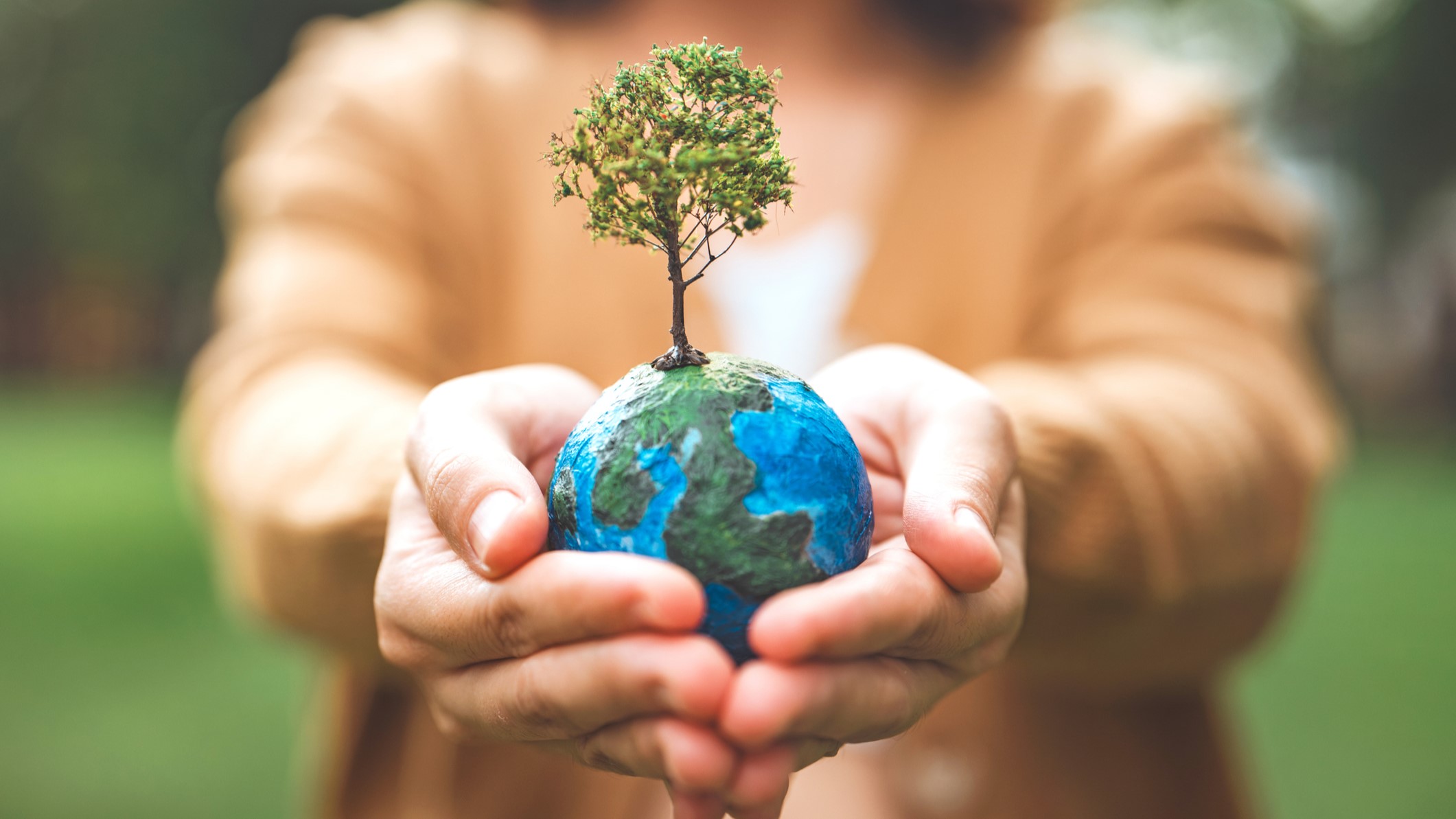 Quinta Conferencia Nacional sobre Cambio Climático reunirá a jóvenes de cara a la COP30