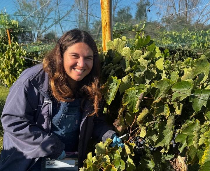 Científica iquiqueña lidera innovación con levaduras del desierto para crear vinos