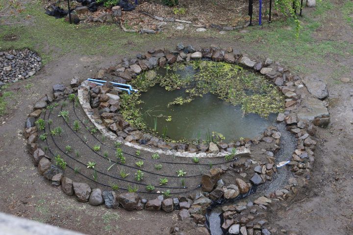 Jardín hídrico en Quinta Normal busca concientizar sobre el cuidado del agua