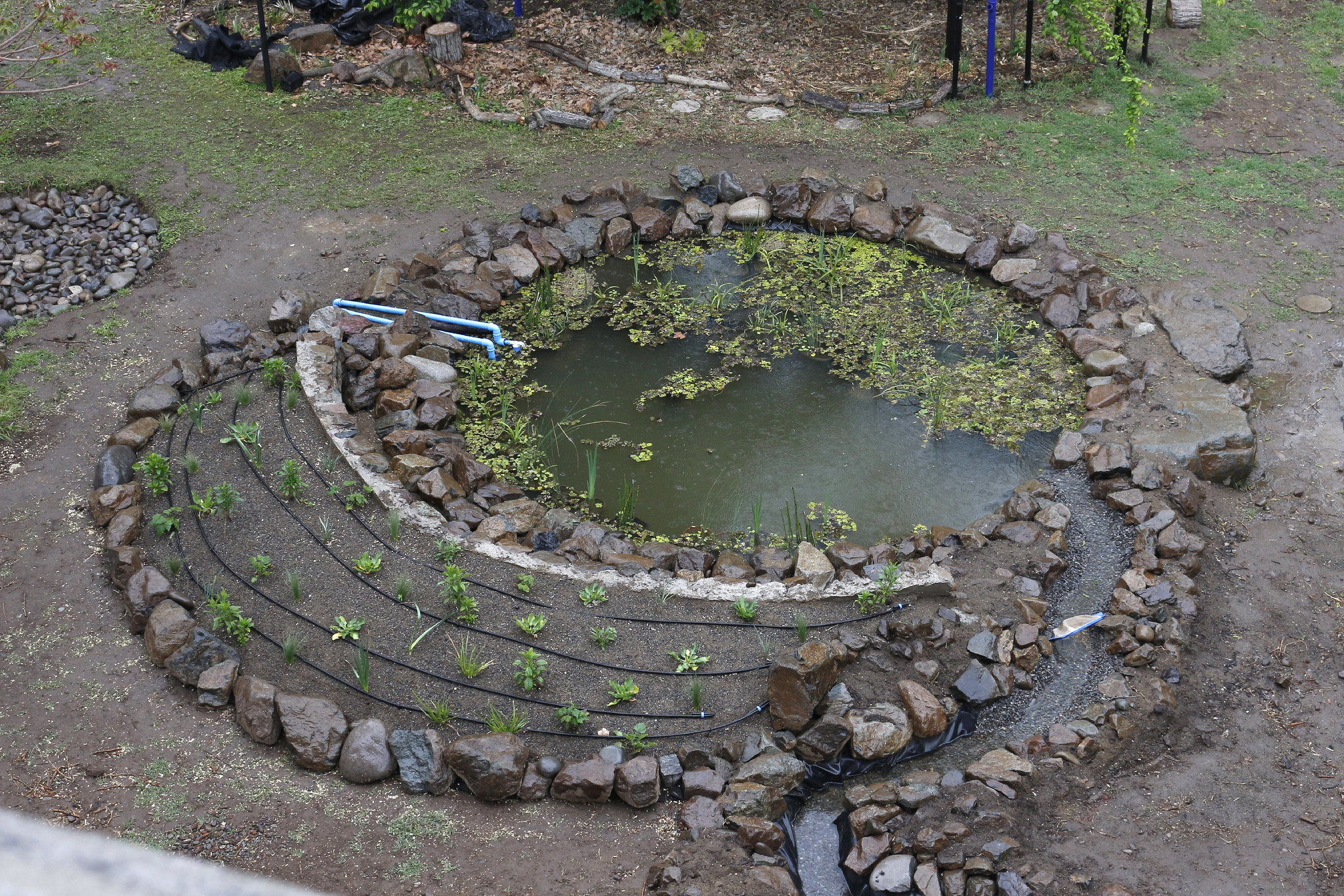 Jardín hídrico en Quinta Normal busca concientizar sobre el cuidado del agua