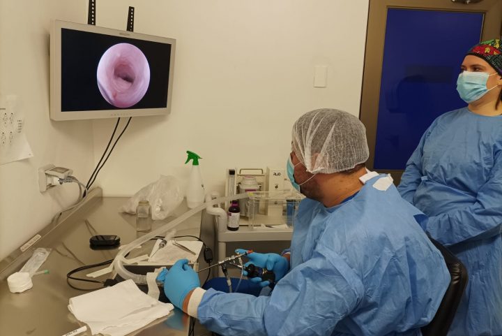 Estudio aporta nueva evidencia sobre los mecanismos genéticos del cáncer colorrectal
