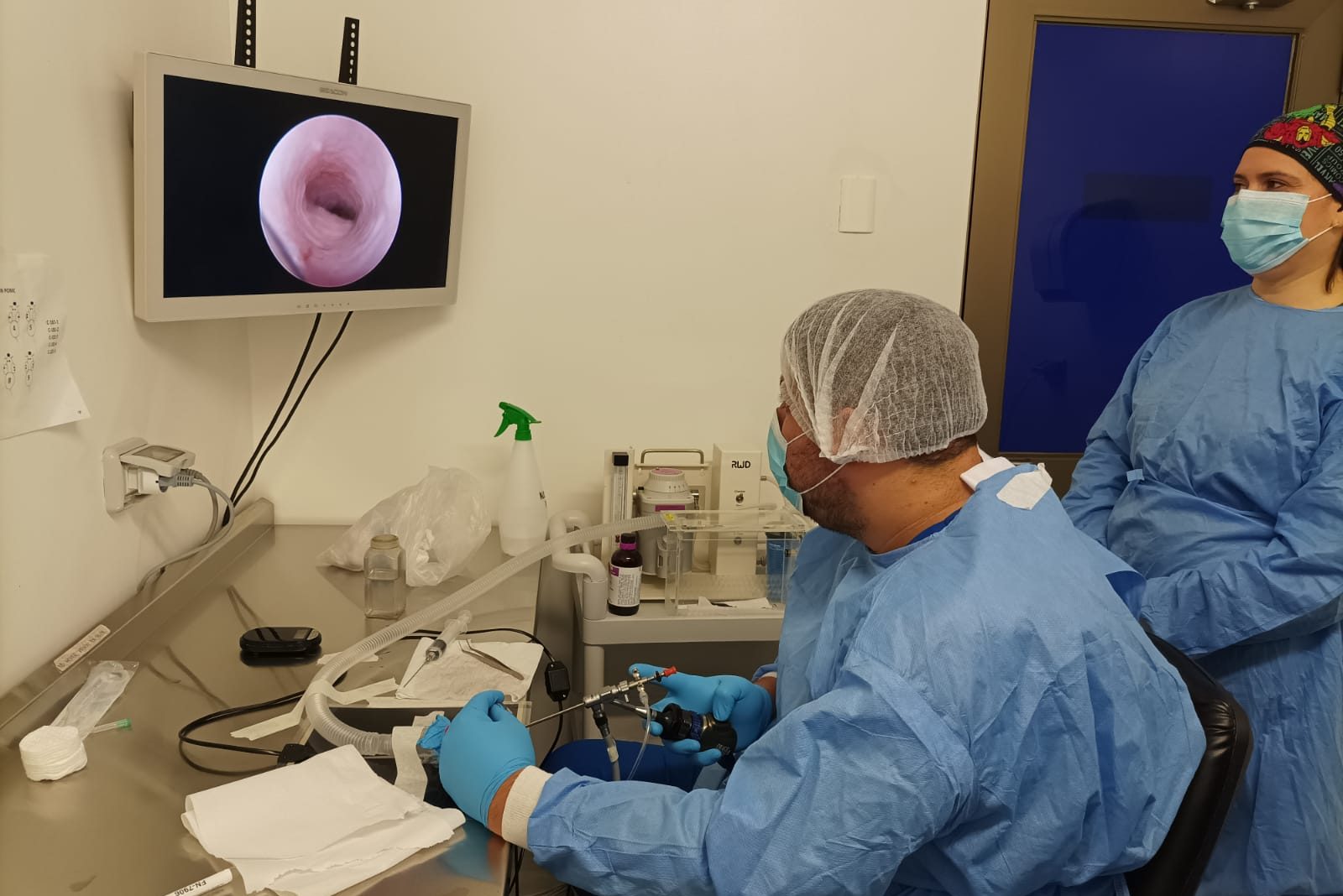 Estudio aporta nueva evidencia sobre los mecanismos genéticos del cáncer colorrectal