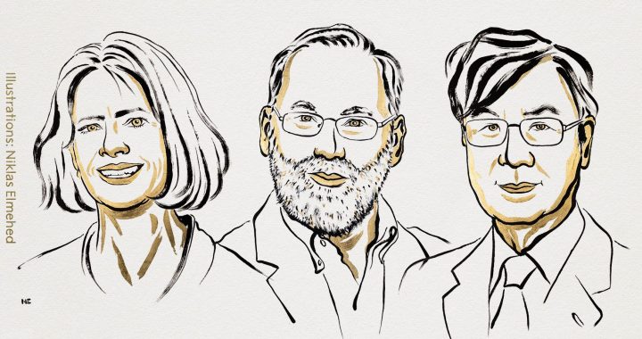 Nobel de Medicina 2025: Un hito en inmunología y la lucha contra enfermedades autoinmunes