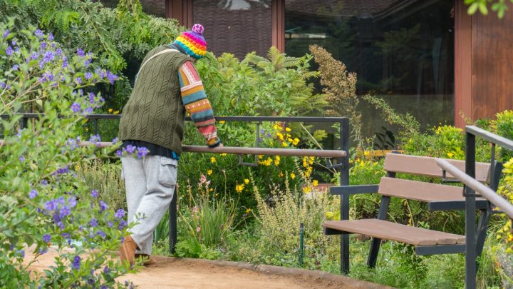 Jardines sanadores: La terapia verde que transforma los hospitales chilenos