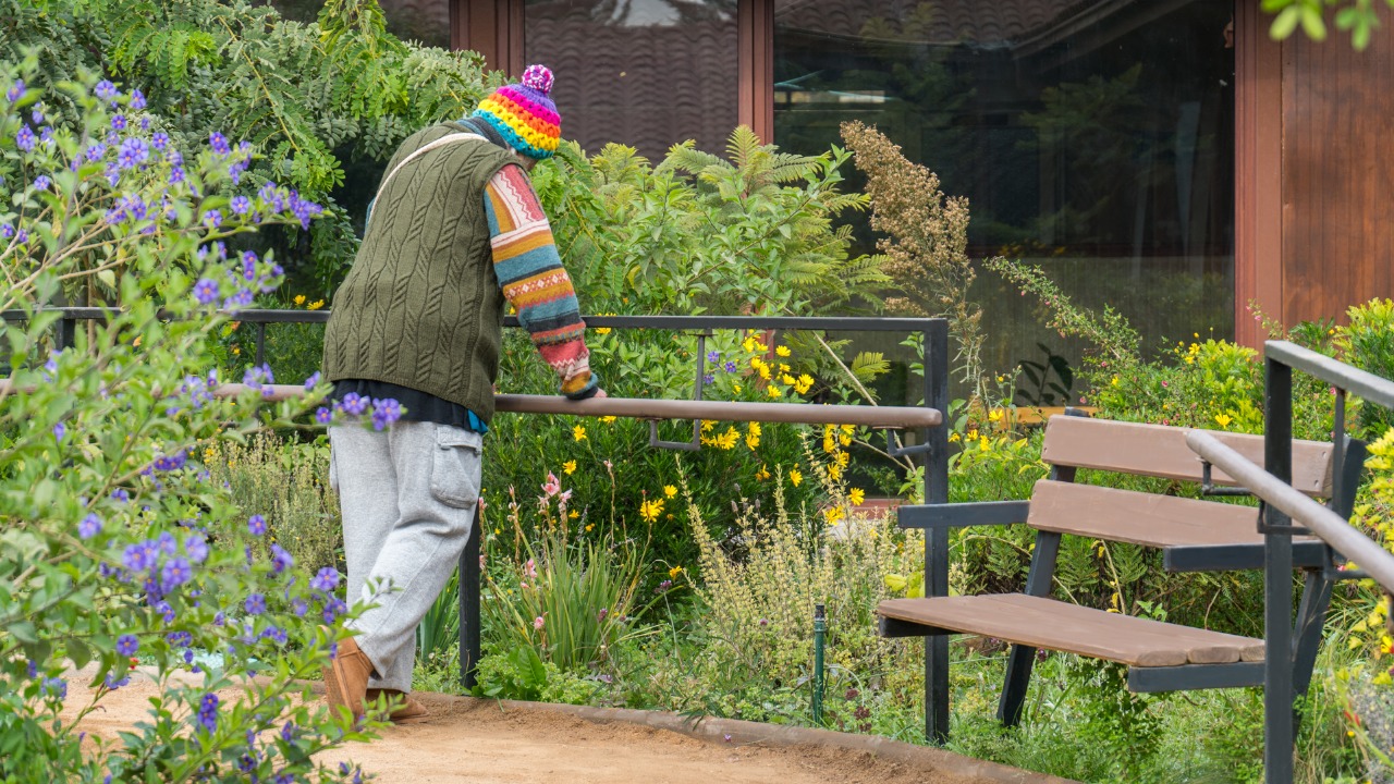 Jardines sanadores: La terapia verde que transforma los hospitales chilenos