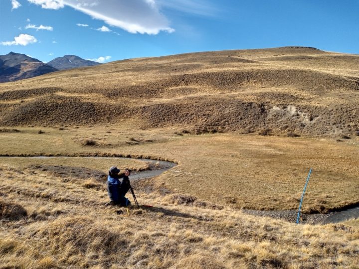 Reserva de Conservación Torres del Paine florece con el retorno de fauna y ecosistemas en recuperación