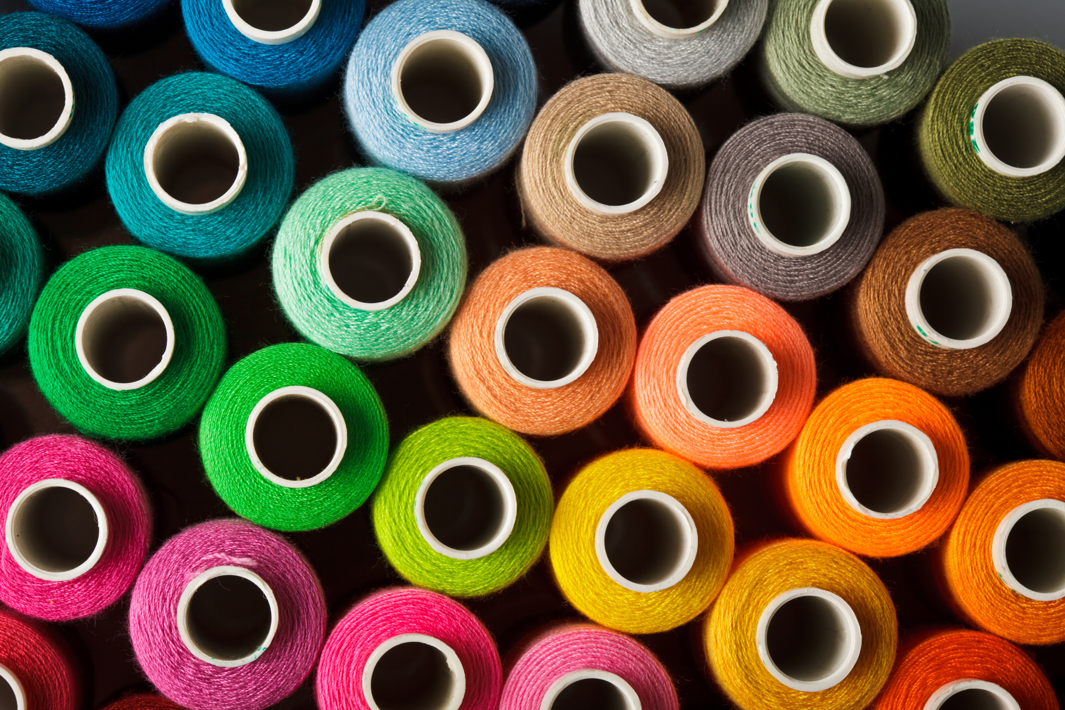 Protiva: La startup que desarrolla tintes textiles sostenibles en base a bacterias