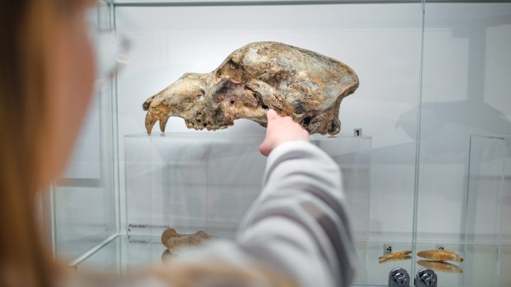 Noche de Museos 2025: Conoce los recintos que abrirán gratis este 24 de octubre