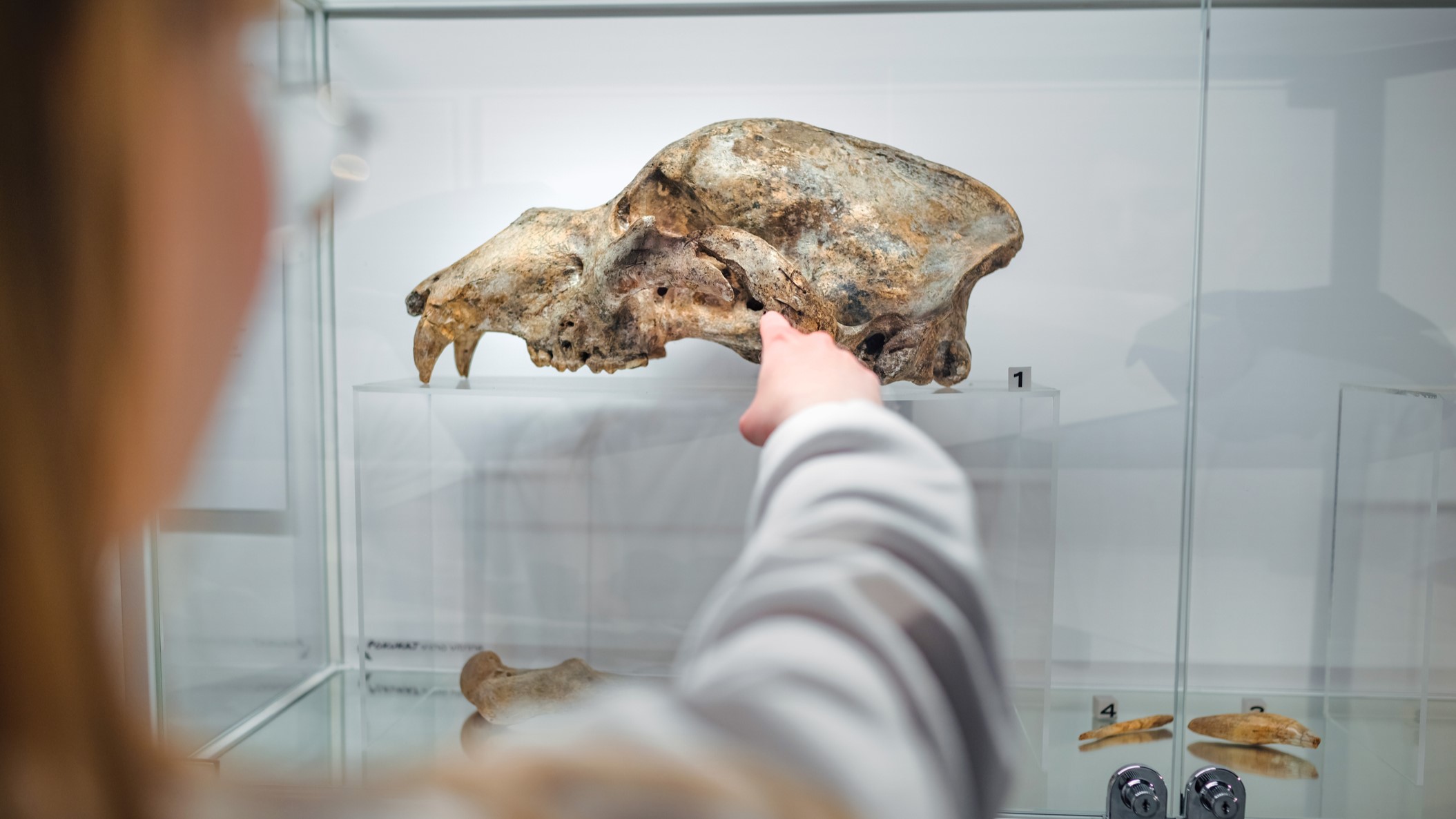 Noche de Museos 2025: Conoce los recintos que abrirán gratis este 24 de octubre